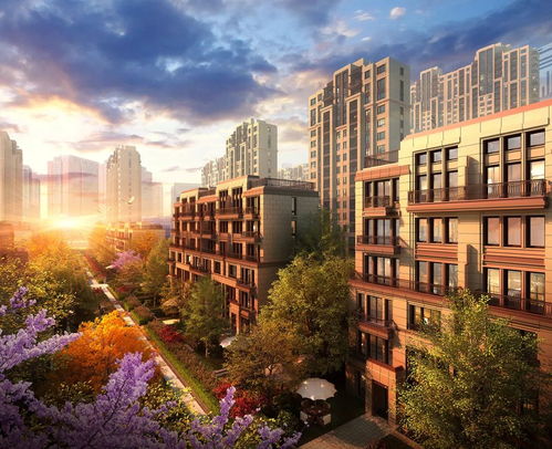 居住自由 一個上海家庭的夢想與現(xiàn)實(shí)